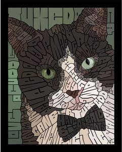 TUXEDO CAT by Curtis Epperson - PoP x HoyPoloi Gallery